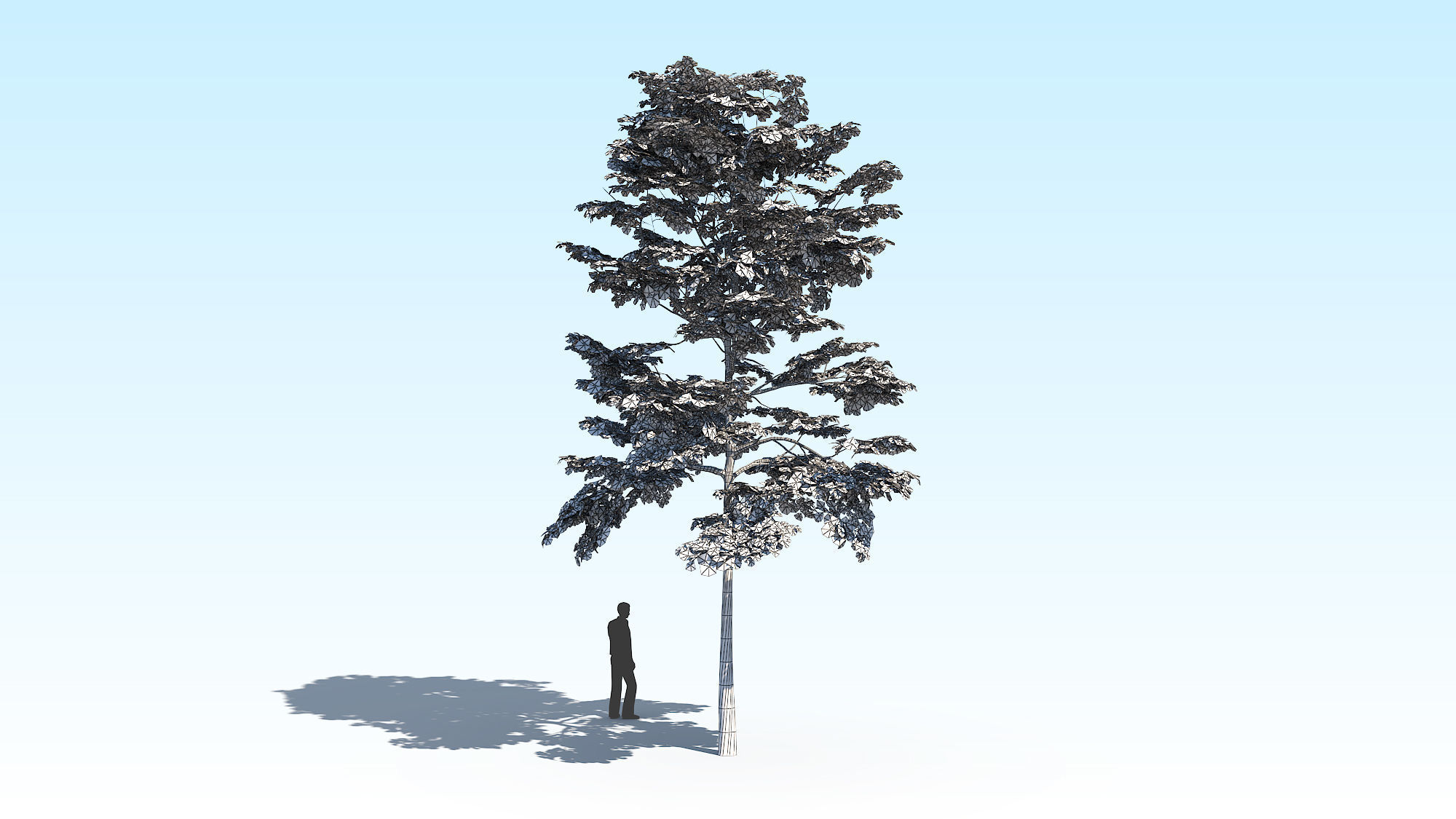Maple Acer Tree 10 ArchViz 3D model_18