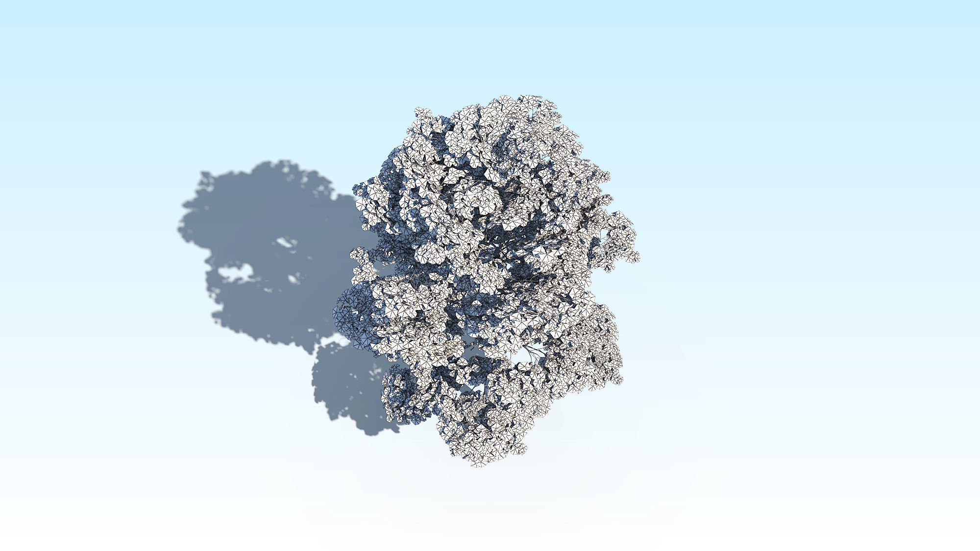 Maple Acer Tree 10 ArchViz 3D model_25