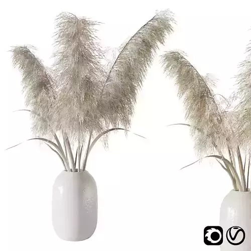 Pampas grass bouquet 3D model