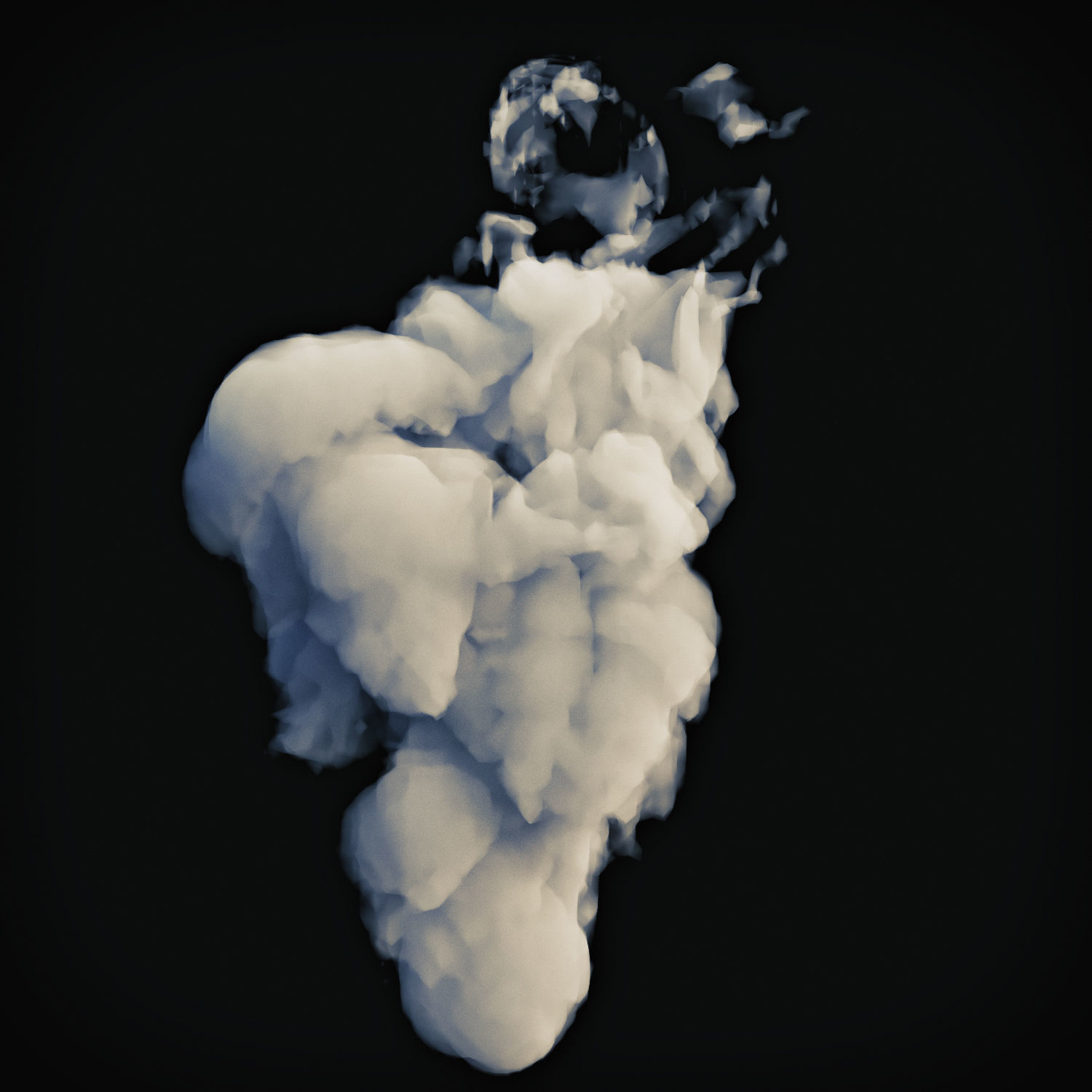 Smoke 3 3D model_3