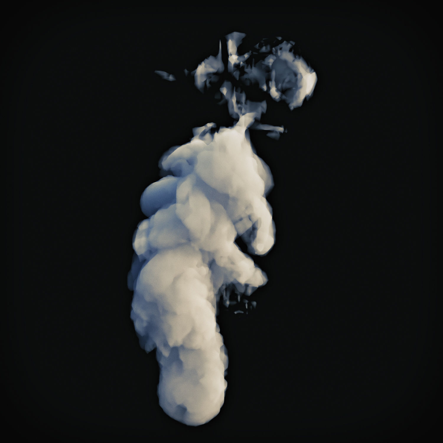 Smoke 3 3D model_4