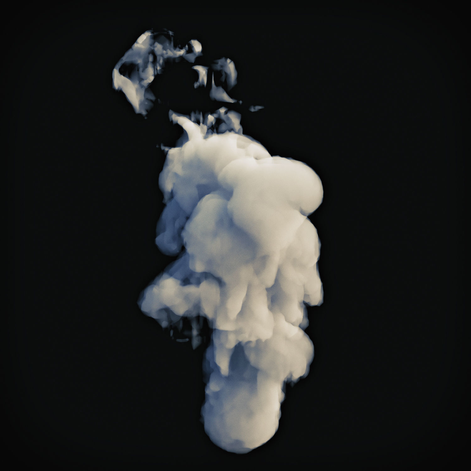 Smoke 3 3D model_2