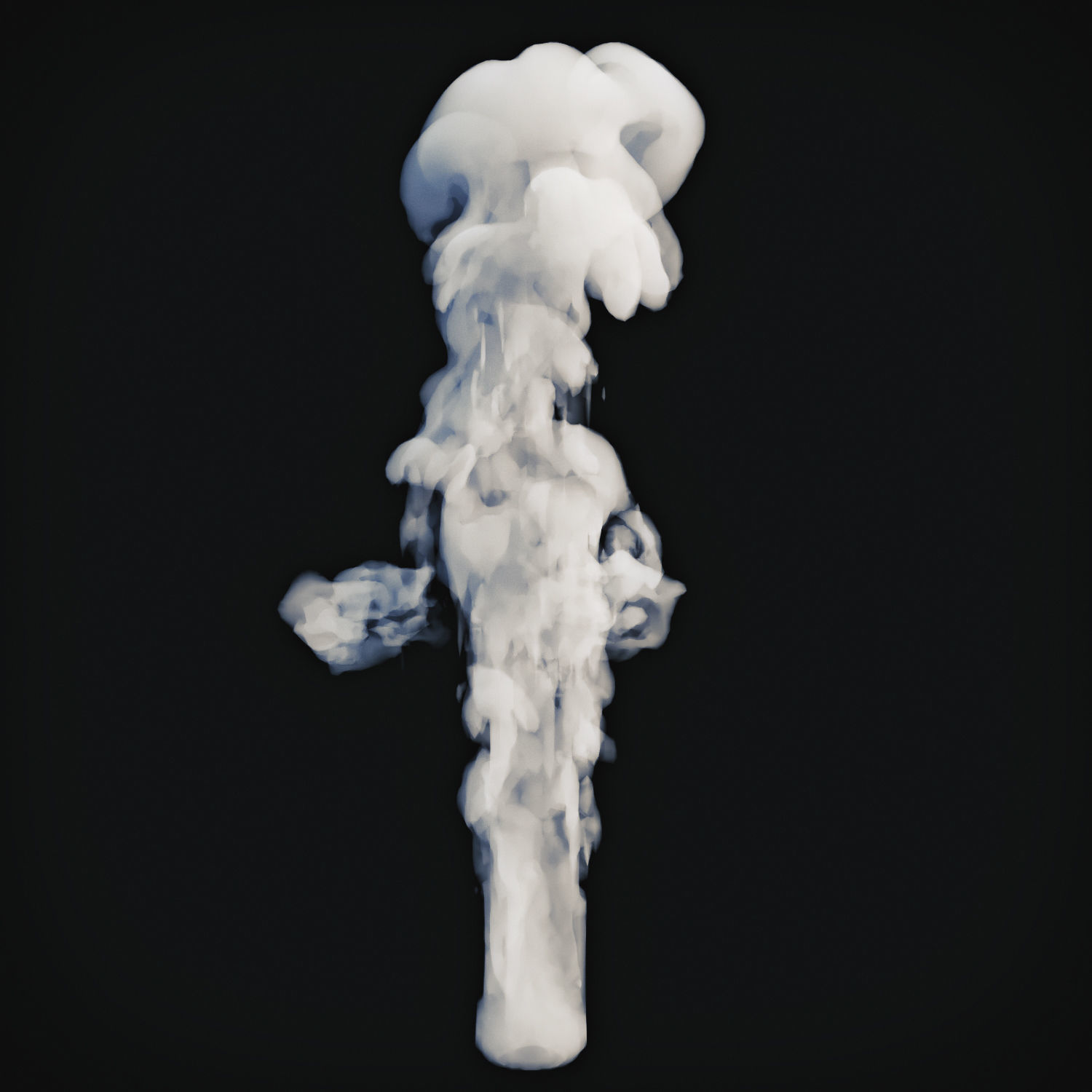 Smoke 20 3D model_4