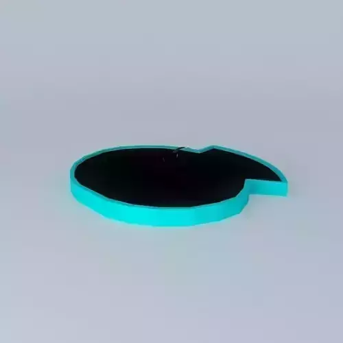 Miami Seaquarium Lolitas pool