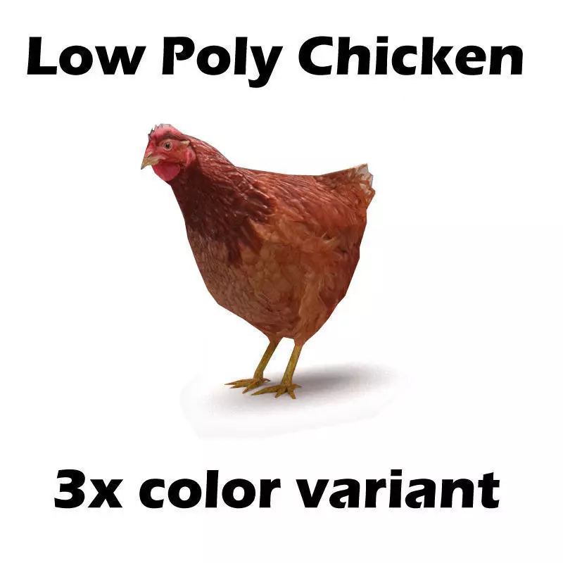 Chicken low poly rooster Low-poly 3D model_0