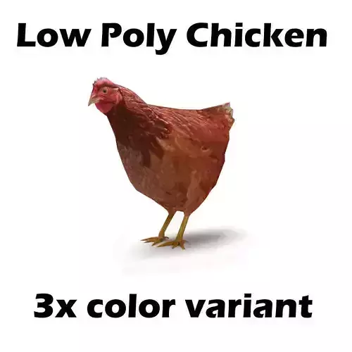 Chicken low poly rooster Low-poly 3D model