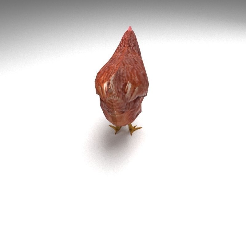 Chicken low poly rooster Low-poly 3D model_5