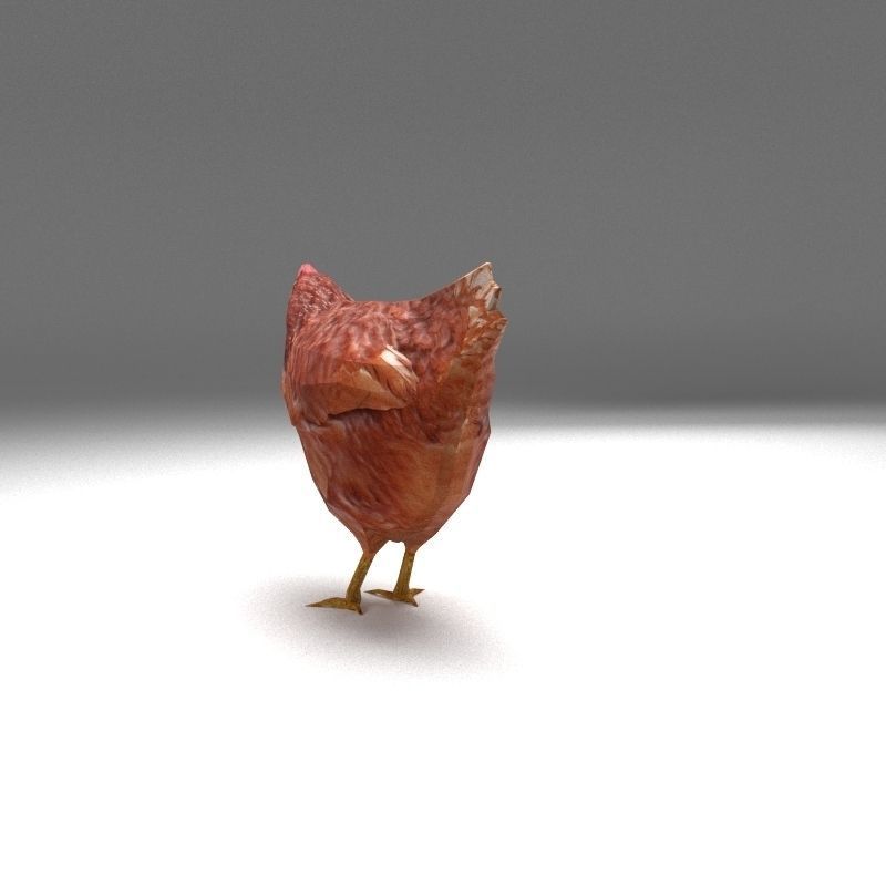 Chicken low poly rooster Low-poly 3D model_1