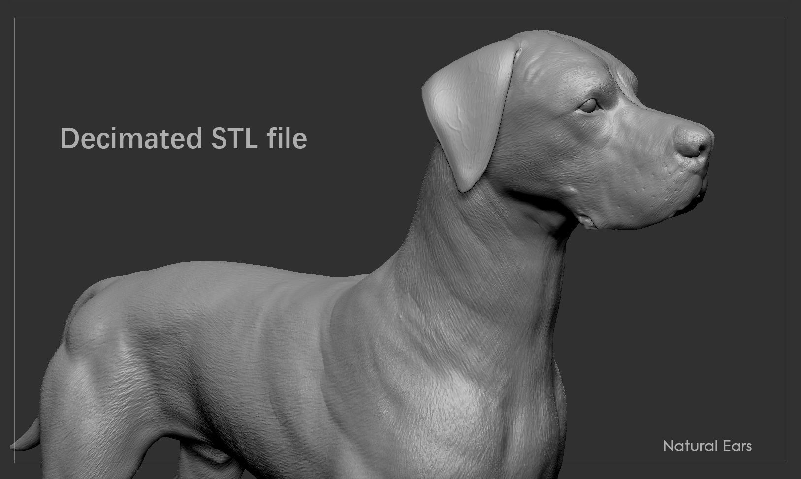 Great Dane High-Poly 3D print model_10