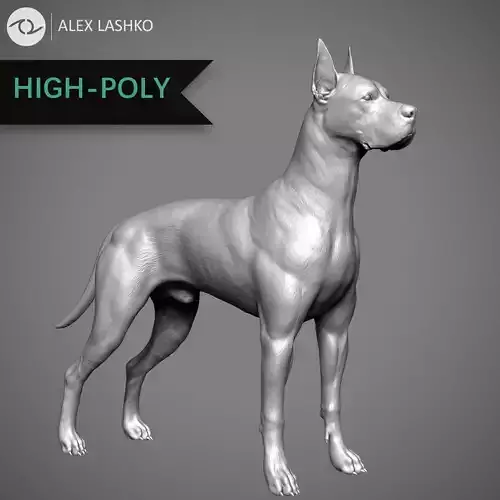 Great Dane High-Poly 3D print model