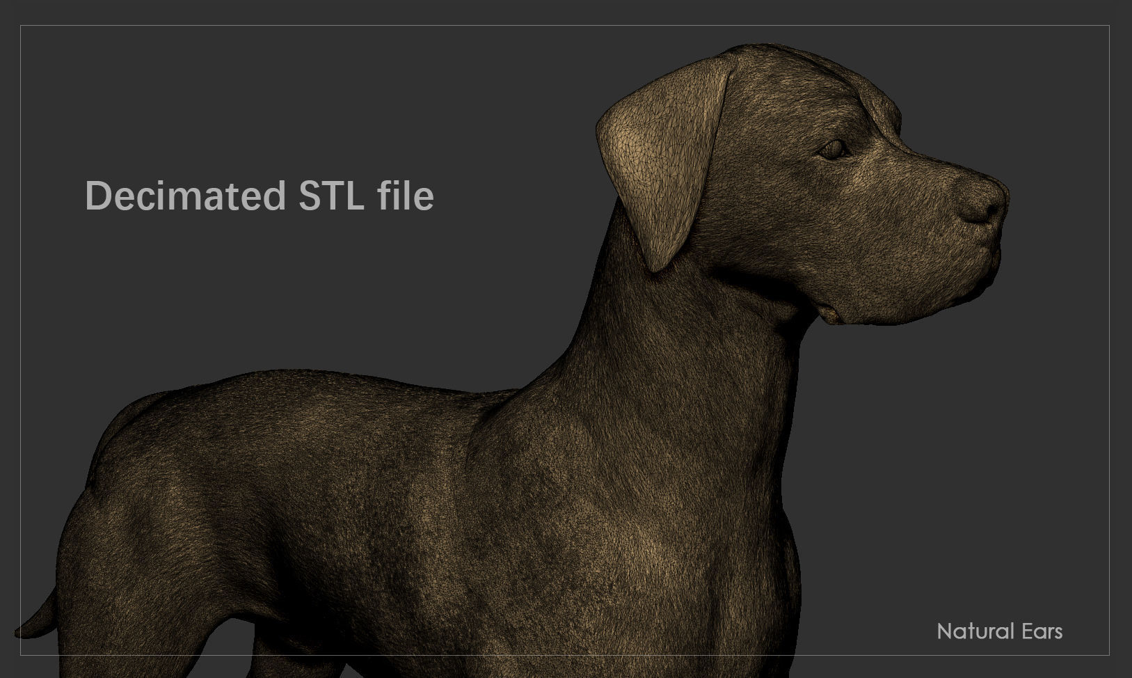 Great Dane High-Poly 3D print model_11