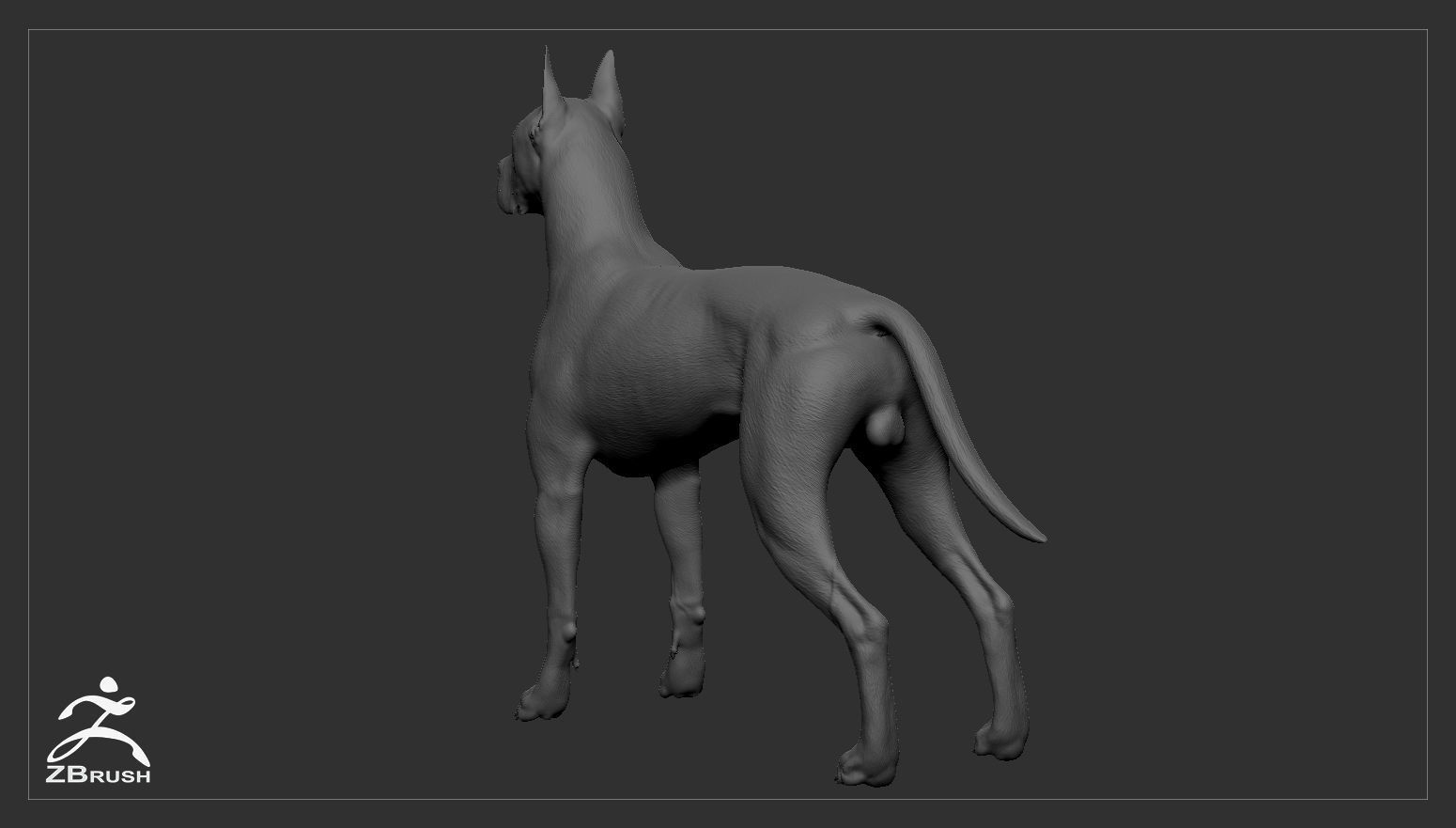 Great Dane High-Poly 3D print model_5