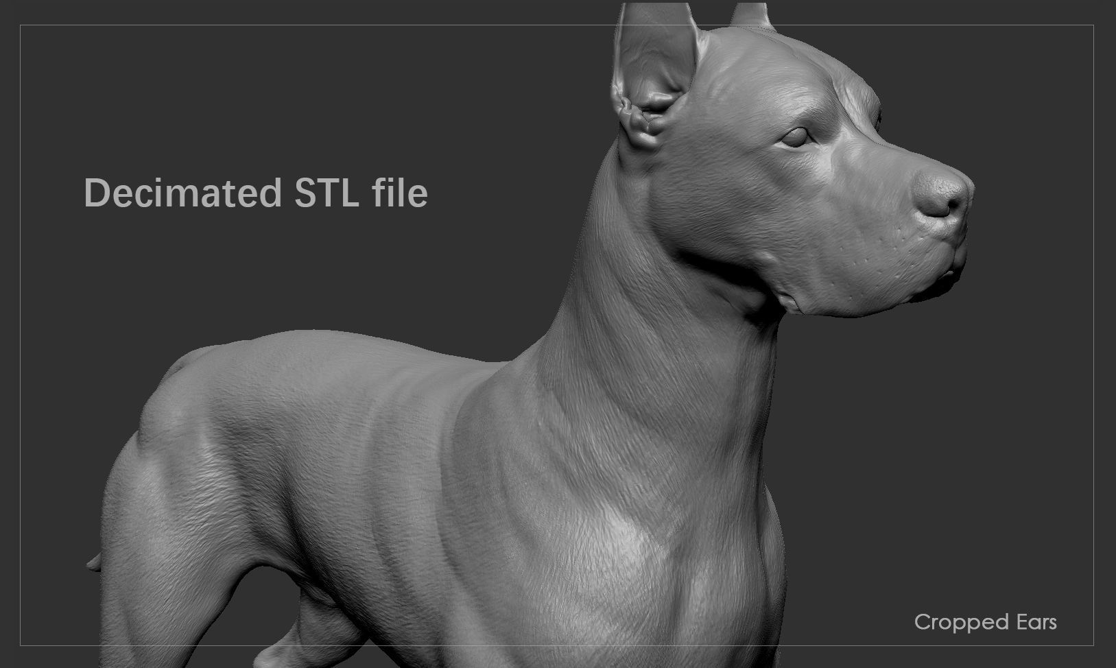 Great Dane High-Poly 3D print model_7