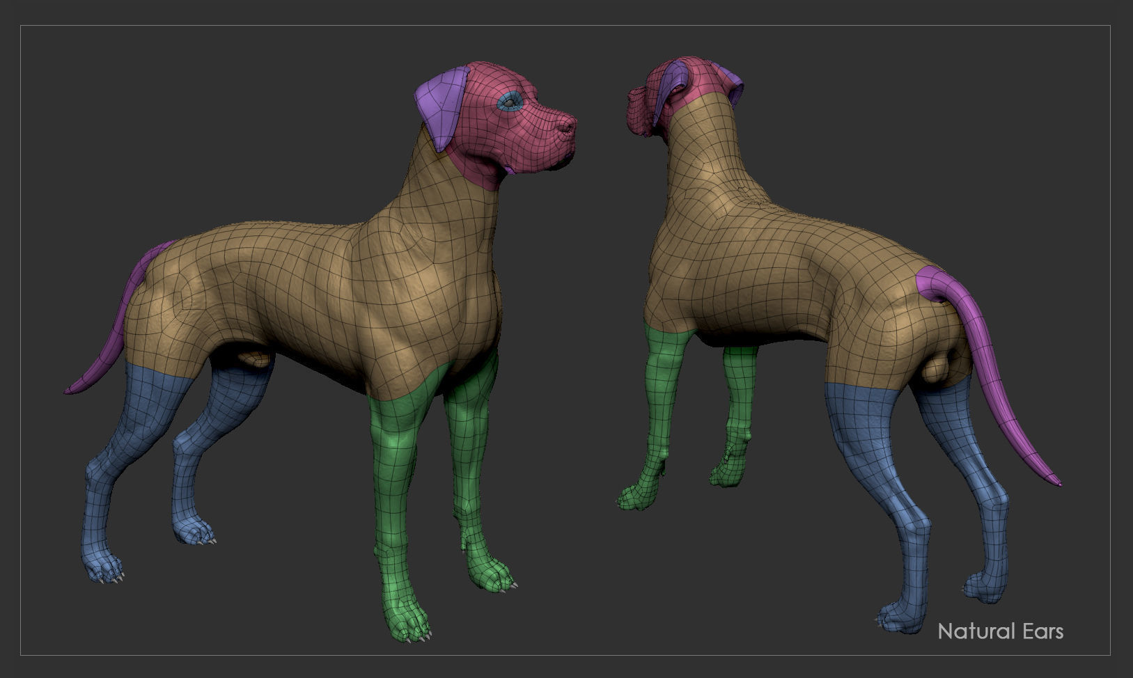 Great Dane High-Poly 3D print model_12