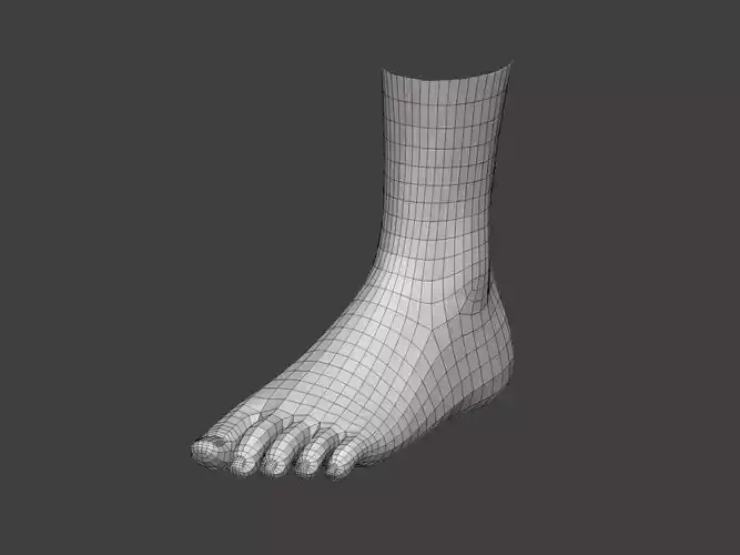 realistic female foot
