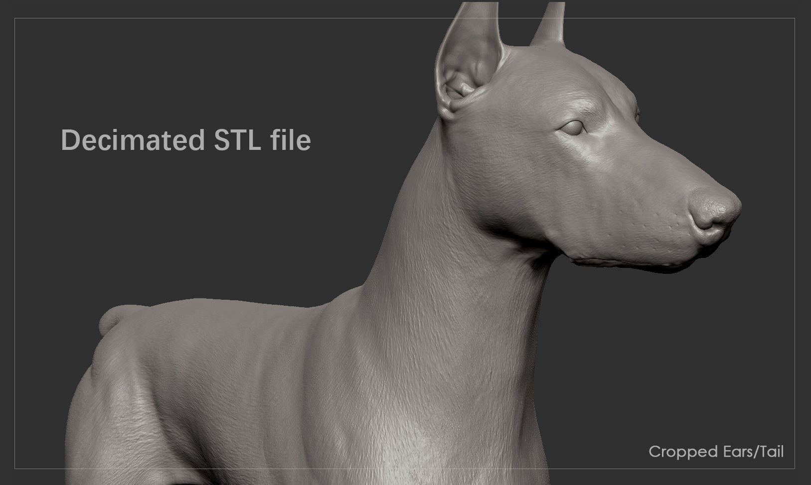 Doberman High-Poly dachshund 3D print model_3