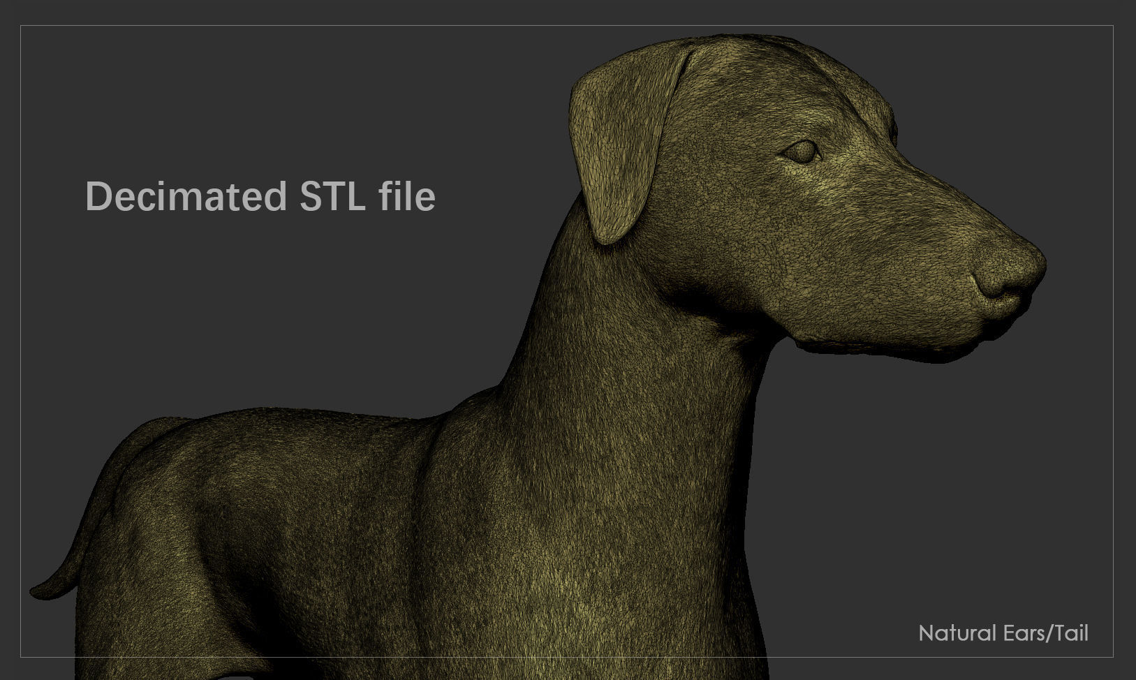 Doberman High-Poly dachshund 3D print model_7