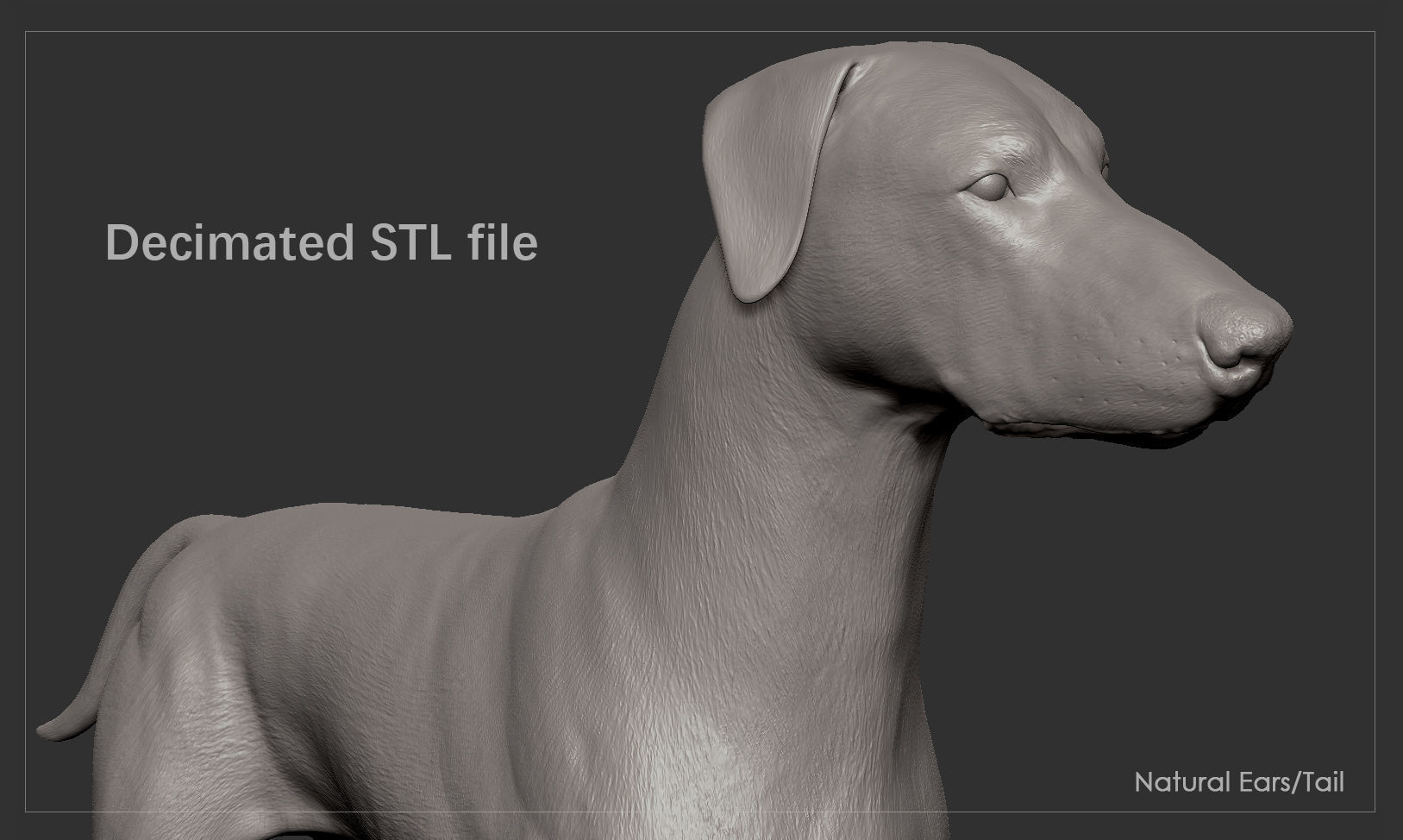 Doberman High-Poly dachshund 3D print model_6