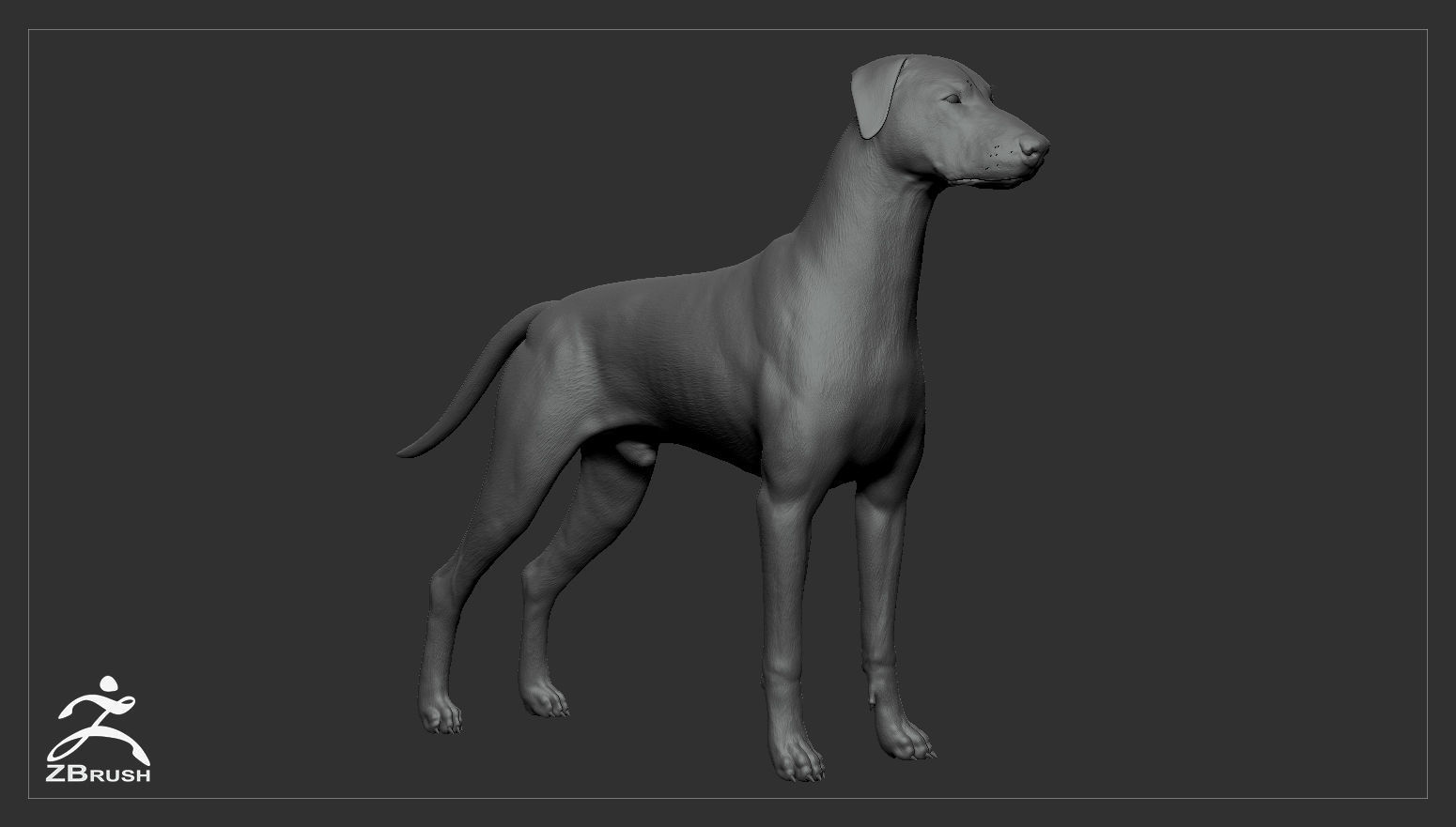 Doberman High-Poly dachshund 3D print model_9