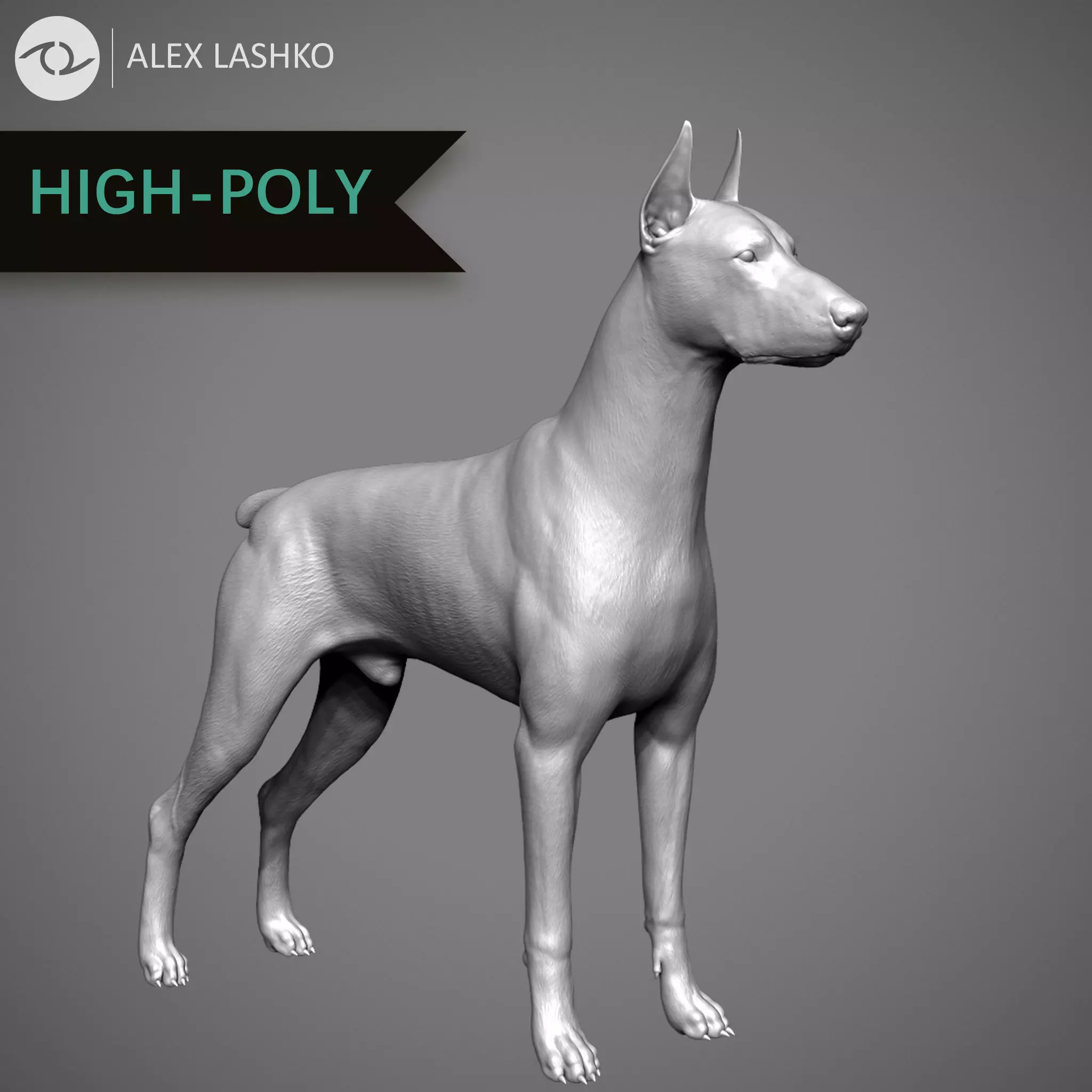 Doberman High-Poly dachshund 3D print model_0