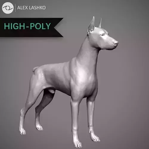 Doberman High-Poly dachshund 3D print model