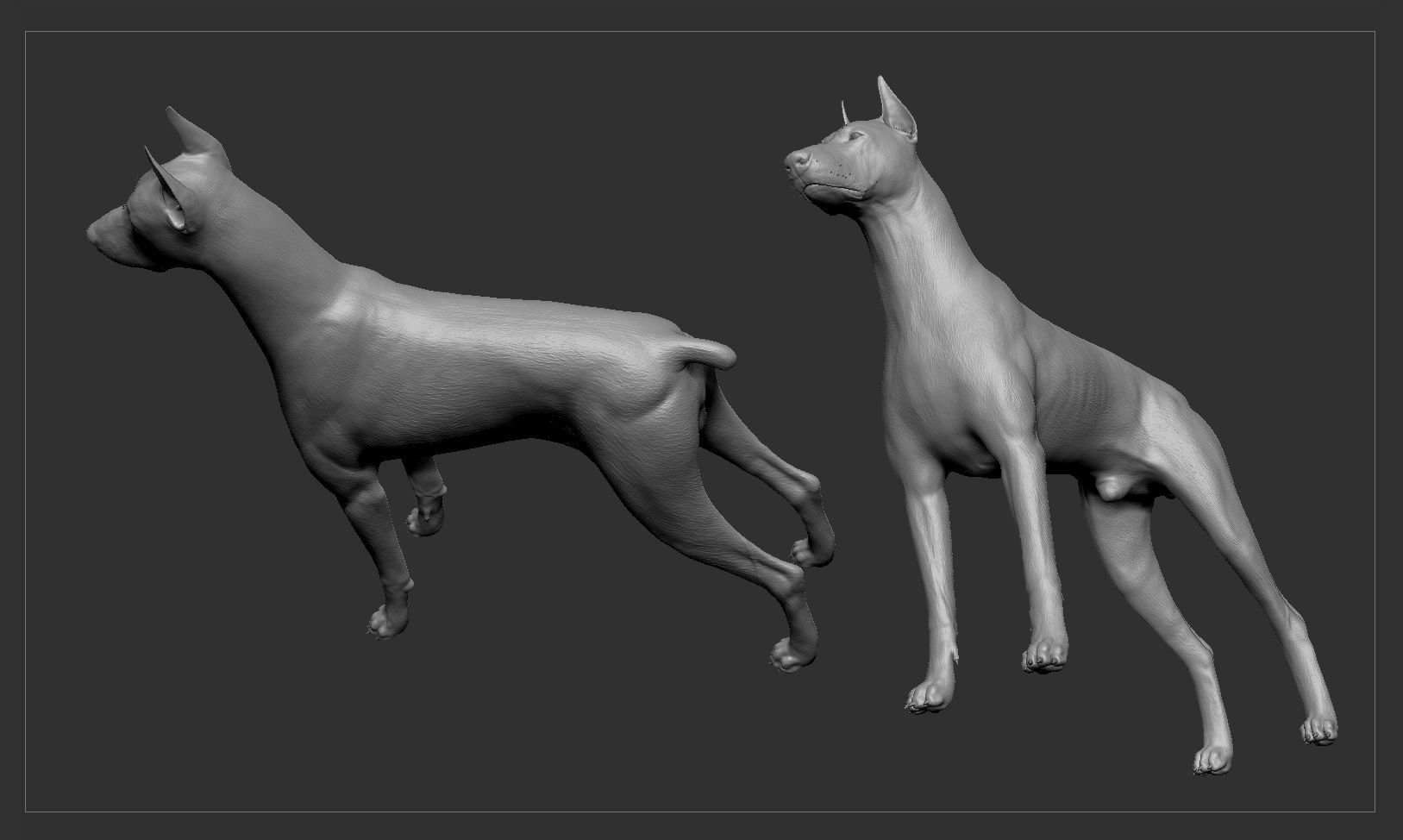 Doberman High-Poly dachshund 3D print model_2