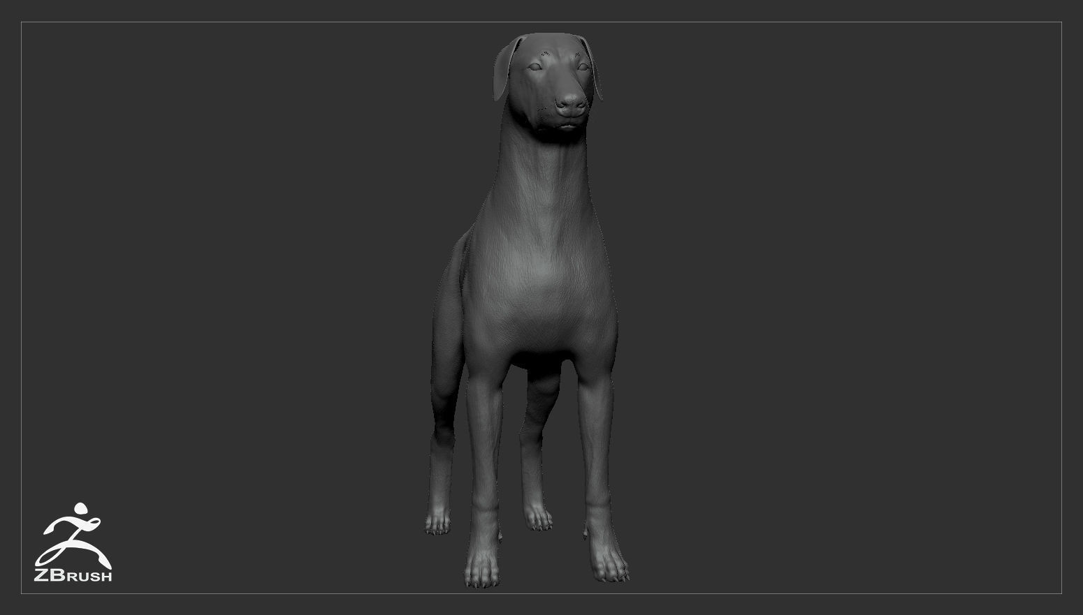 Doberman High-Poly dachshund 3D print model_10