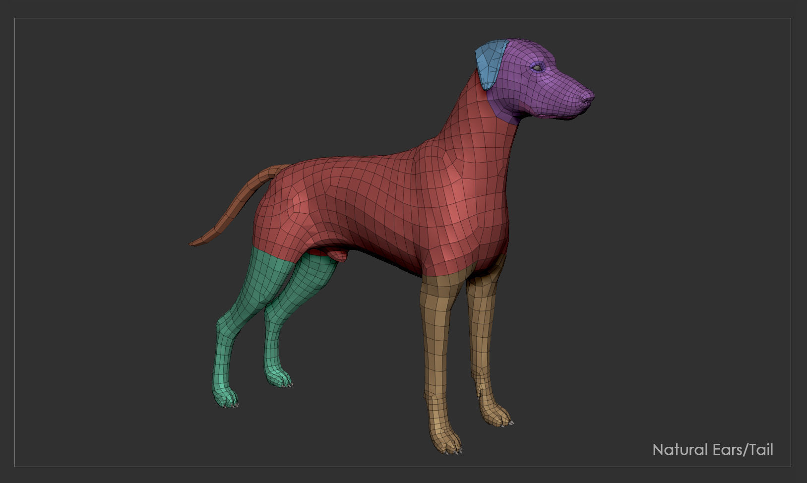Doberman High-Poly dachshund 3D print model_8