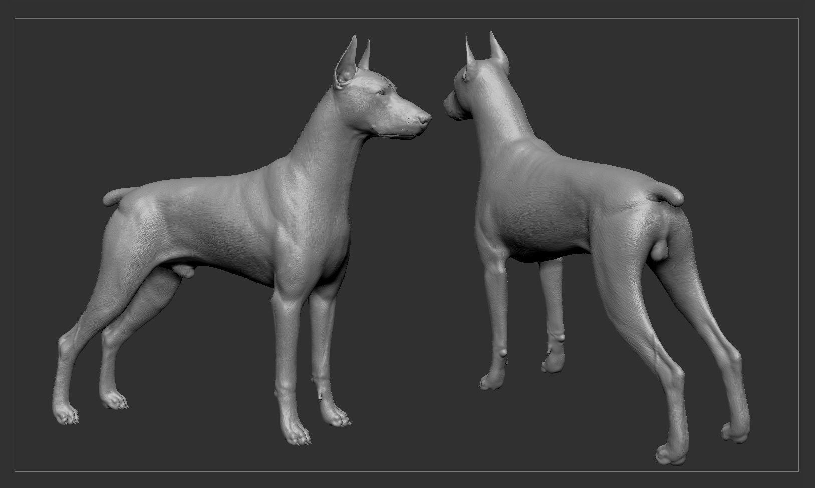 Doberman High-Poly dachshund 3D print model_1