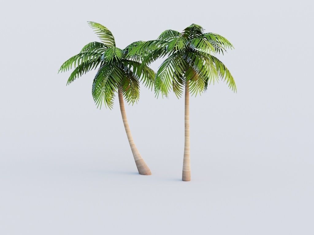Coconut Tree LOD G11  Low-poly 3D model_3