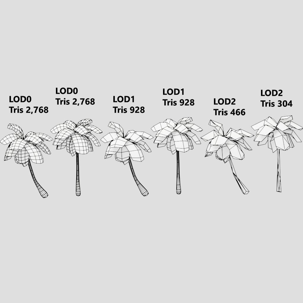 Coconut Tree LOD G11  Low-poly 3D model_8