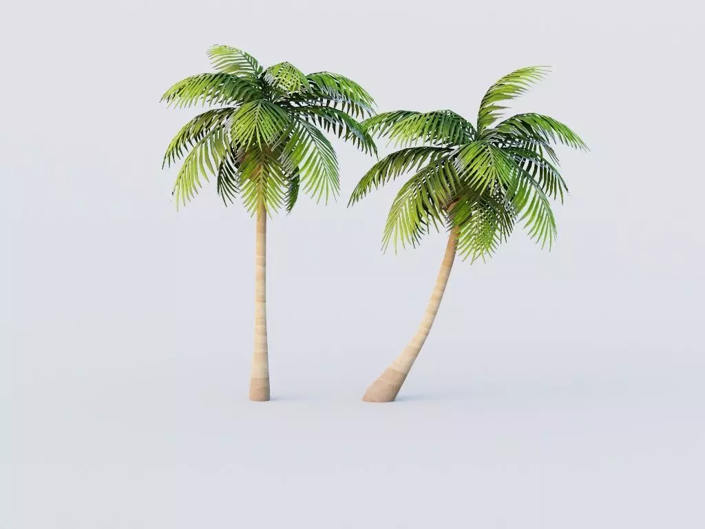 Coconut Tree LOD G11  Low-poly 3D model_0