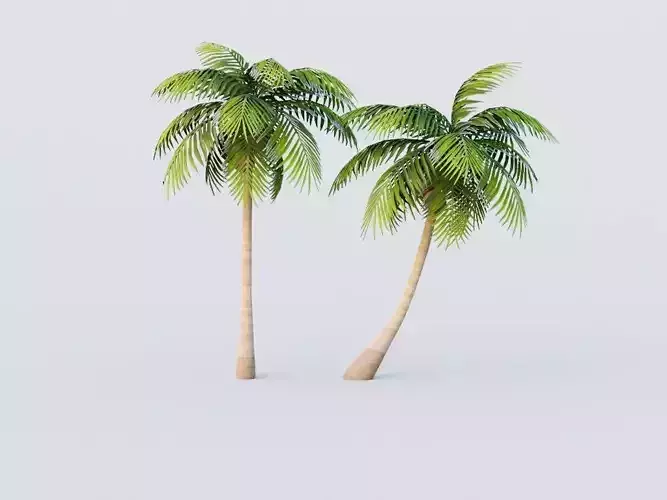 Coconut Tree LOD G11  Low-poly 3D model