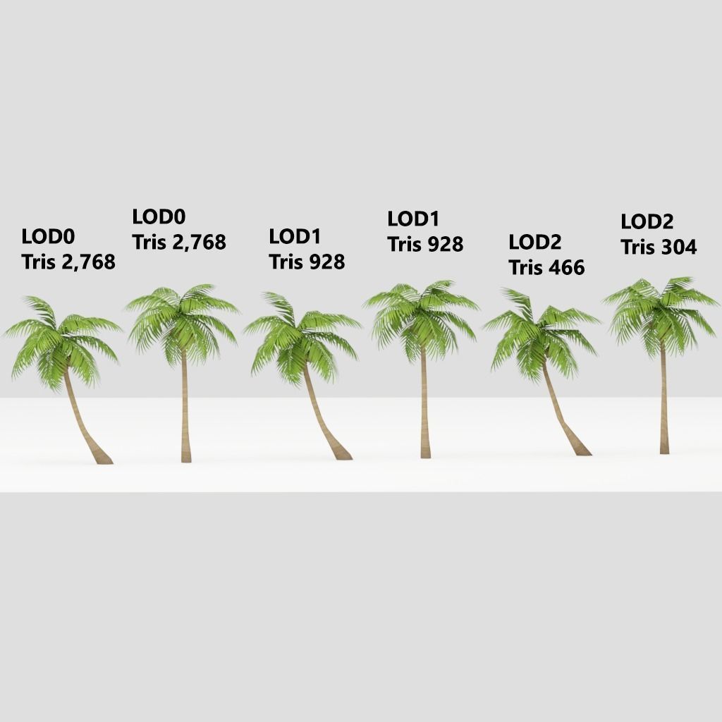 Coconut Tree LOD G11  Low-poly 3D model_7