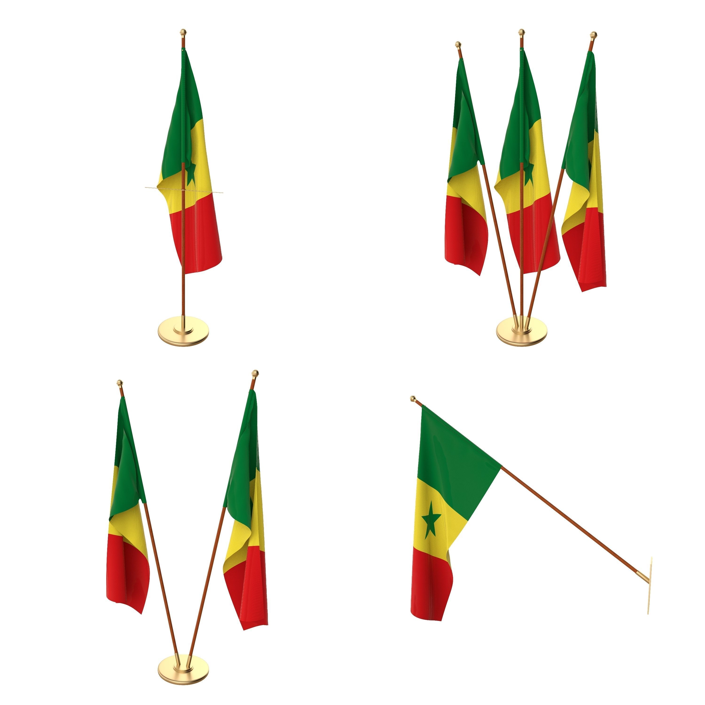 Senegal Flag Pack 3D model_1