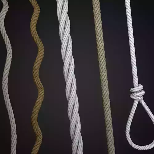 ropes and lasso 3D model