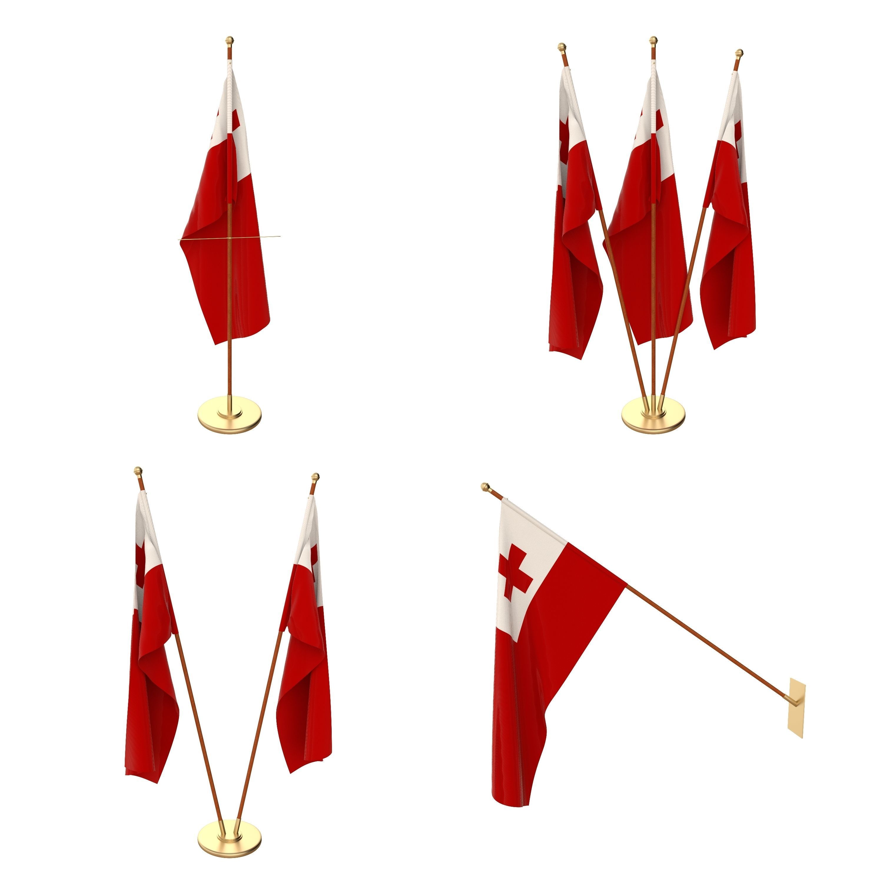 Tonga Flag Pack 3D model_1