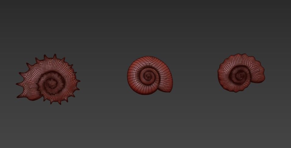 Magic night cave  waterfall energy flower and shells 3D model_7