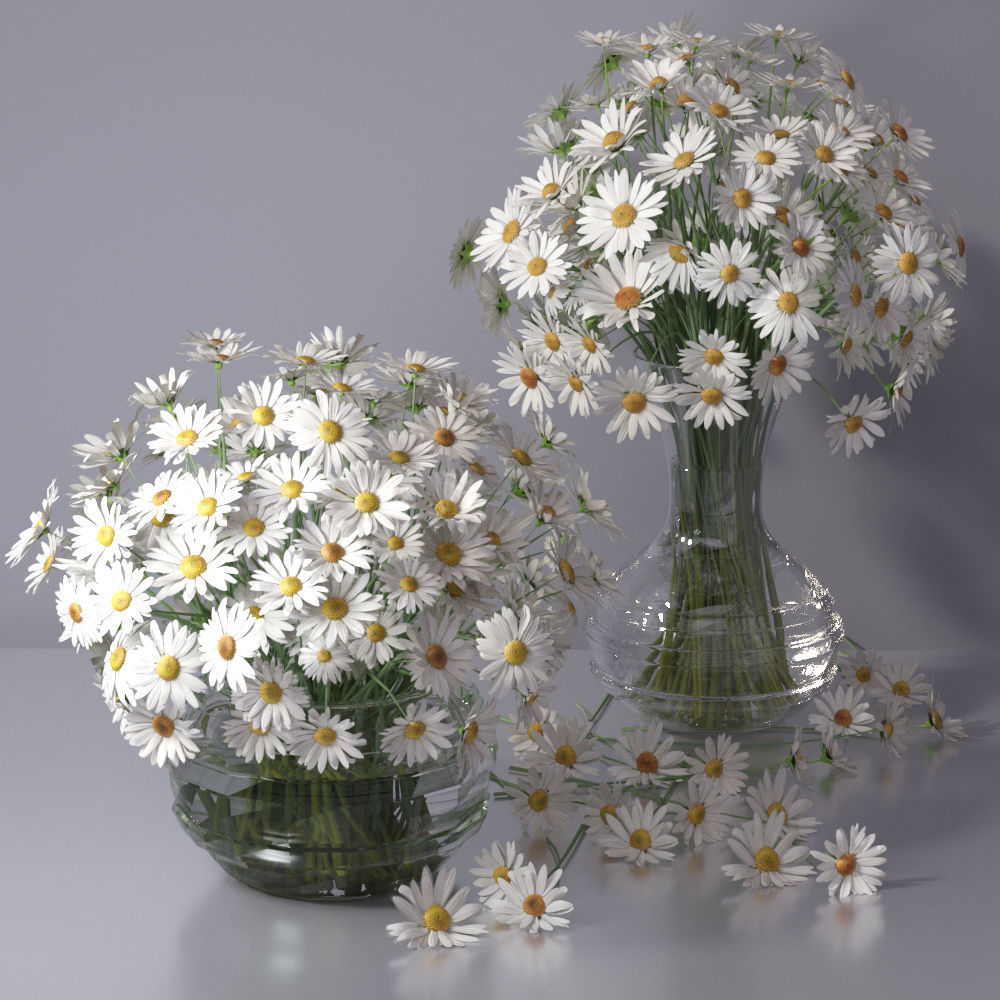 Realistic Daisy Chamomile Bouquet Vase 3D model_19