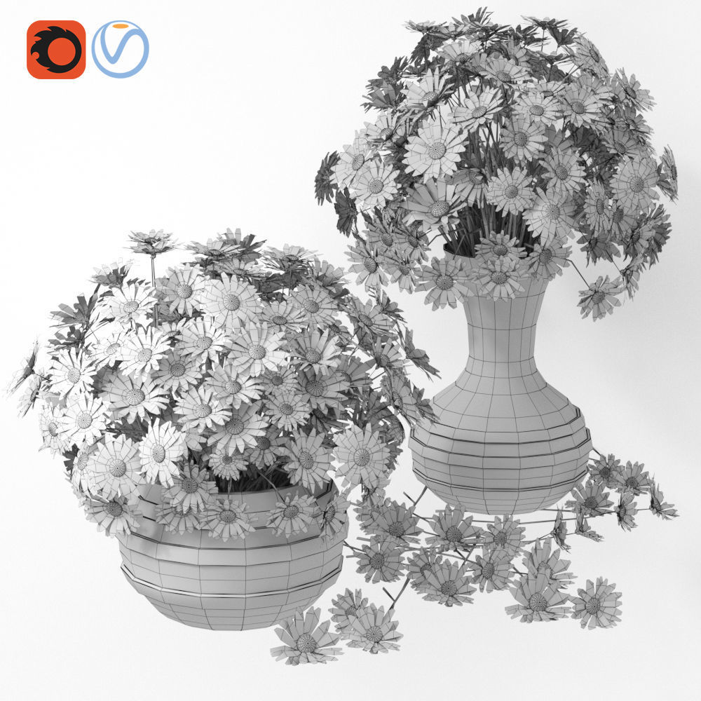 Realistic Daisy Chamomile Bouquet Vase 3D model_29