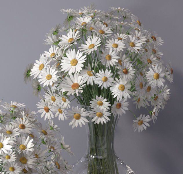 Realistic Daisy Chamomile Bouquet Vase 3D model_26