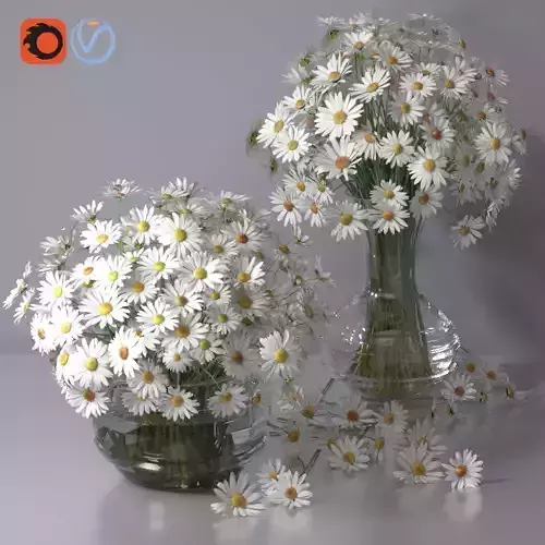 Realistic Daisy Chamomile Bouquet Vase 3D model