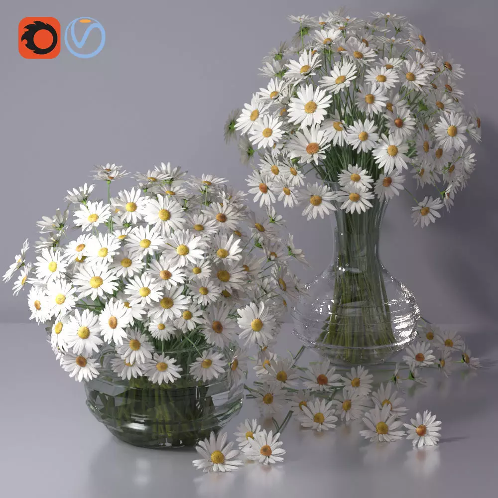 Realistic Daisy Chamomile Bouquet Vase 3D model_0