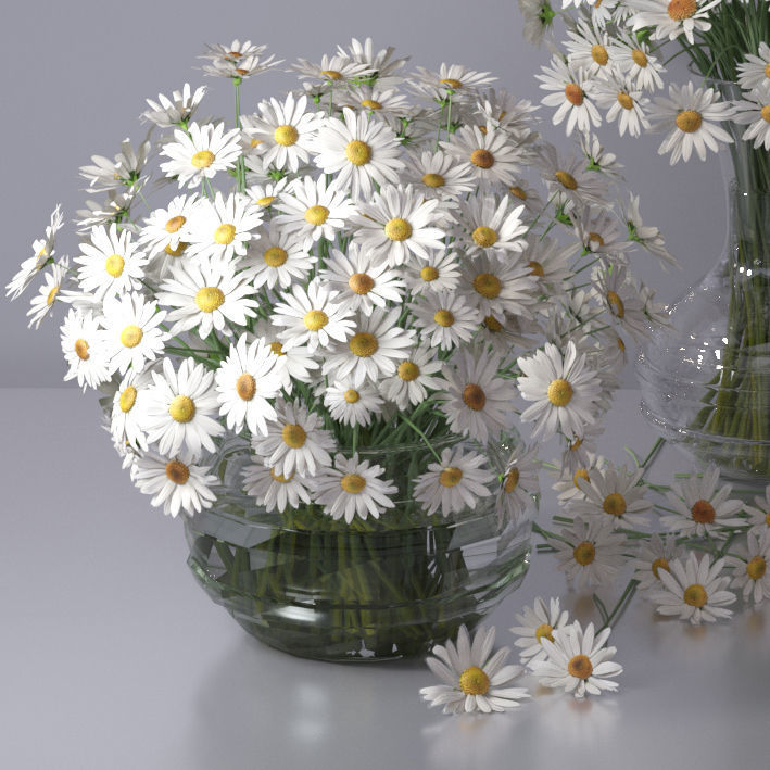 Realistic Daisy Chamomile Bouquet Vase 3D model_6