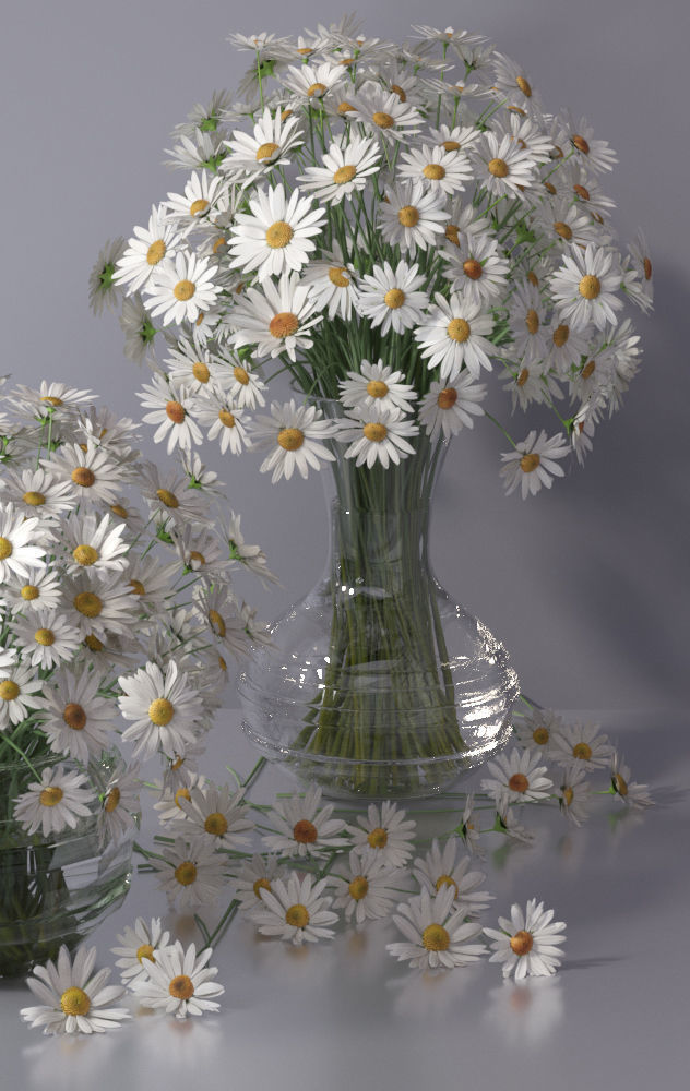 Realistic Daisy Chamomile Bouquet Vase 3D model_4
