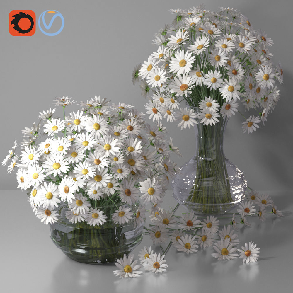 Realistic Daisy Chamomile Bouquet Vase 3D model_27