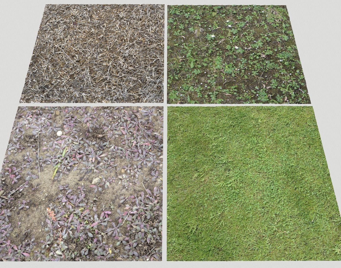 Forest Terrain Pack PBR 5 Texture_14