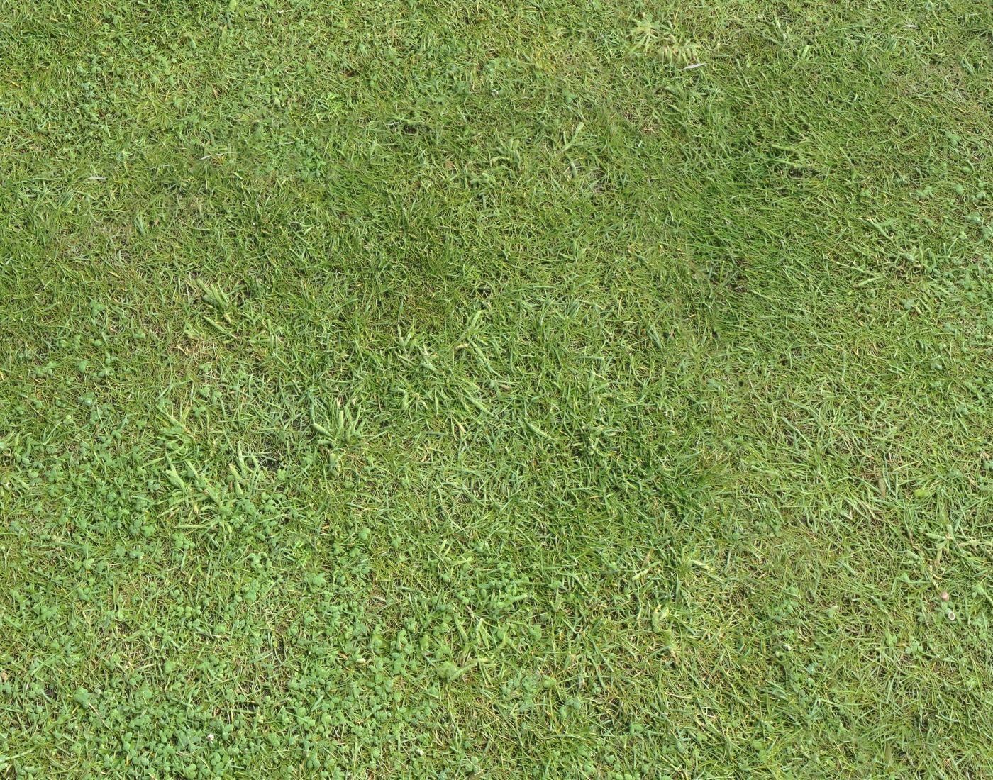 Forest Terrain Pack PBR 5 Texture_12