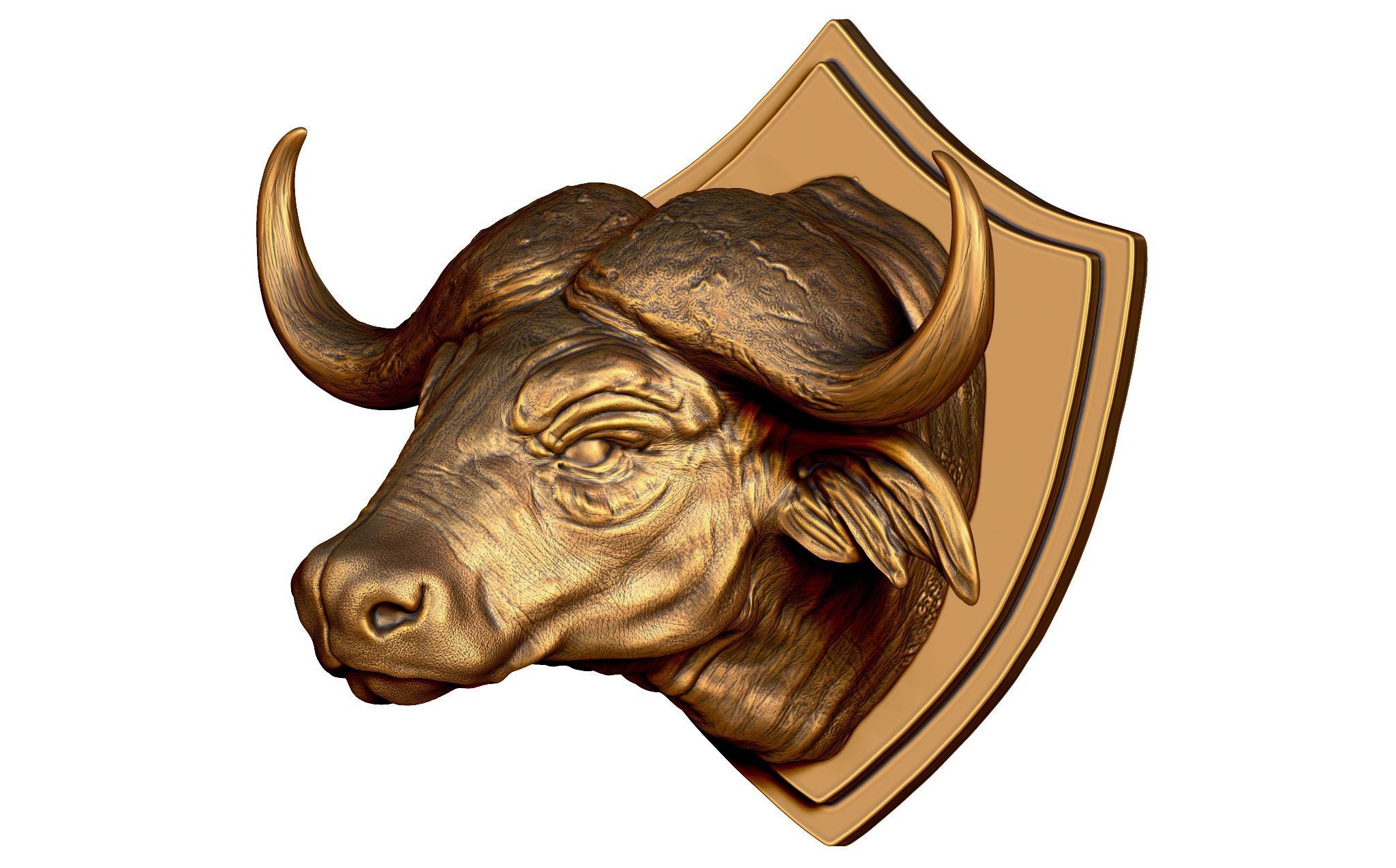 Buffalo Head for printing 3d 3D print model_1