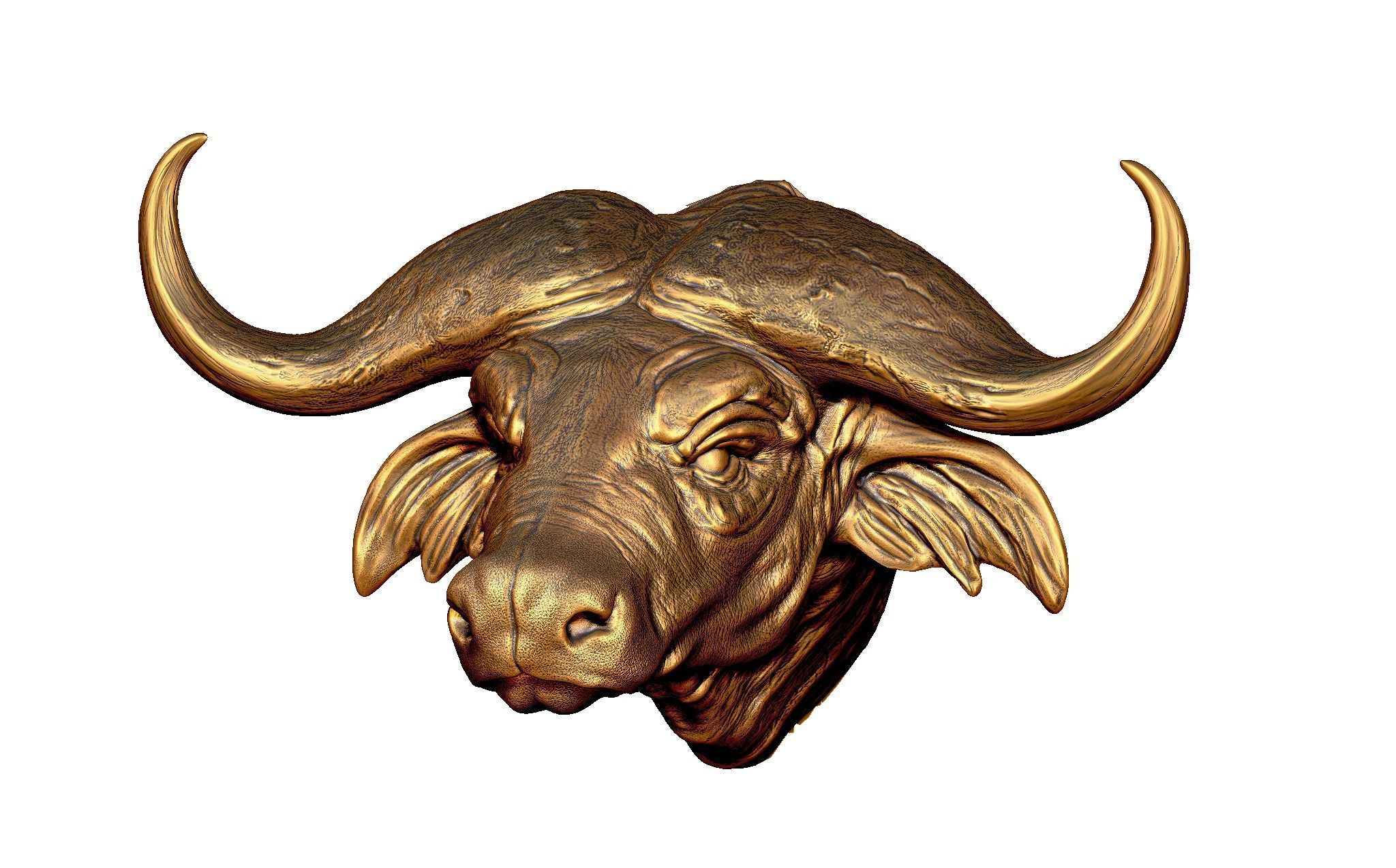 Buffalo Head for printing 3d 3D print model_5